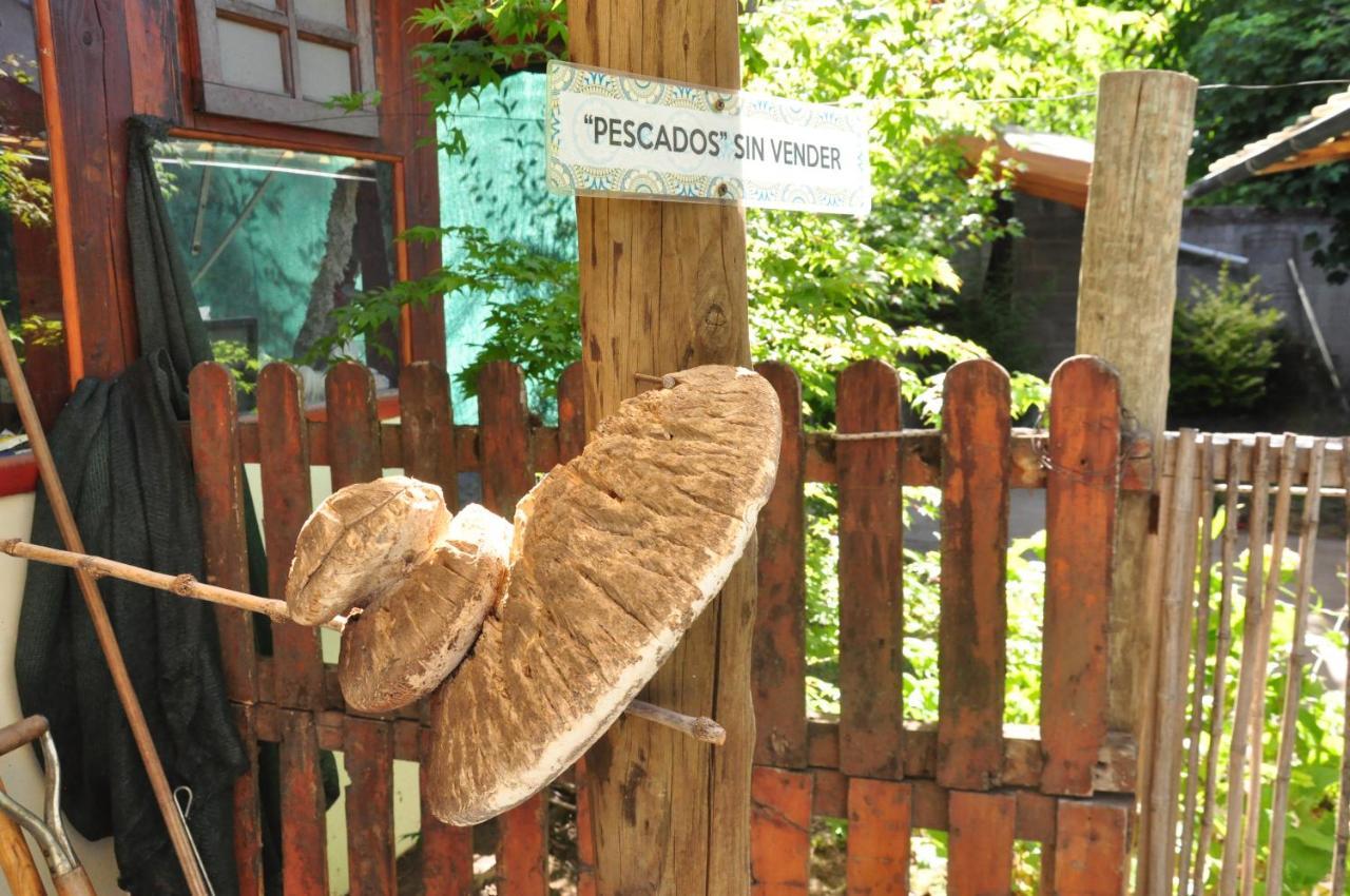 La Casa Del Arbol - Hostel El Bolsón Exteriör bild